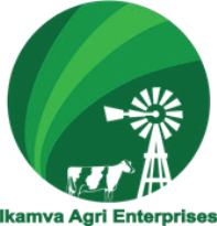 Ikamva Agri Enterprises Logo